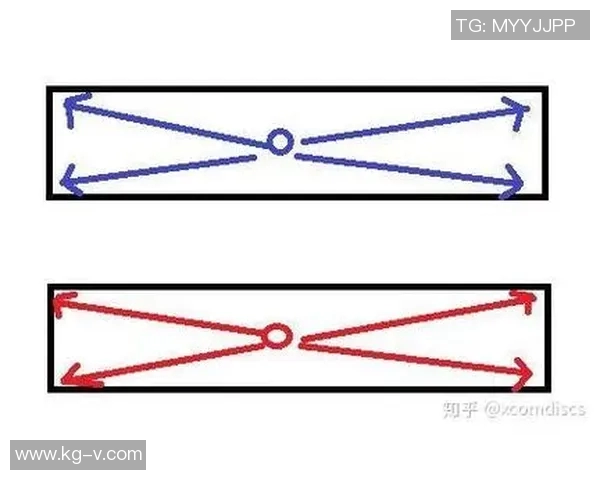 深入分析上海飞盘队独特防守策略与战术执行的全景解读 深入分析上海飞盘队独特防守策略与战术执行的全景解读